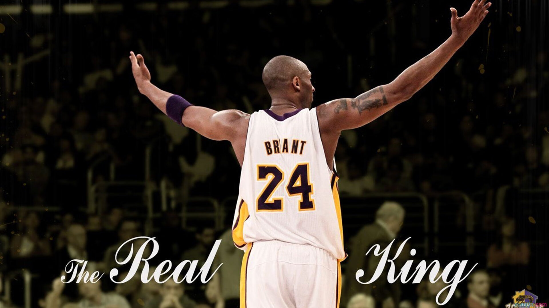 综合体育系三年级综合测评赛 成绩将纳入实习推荐